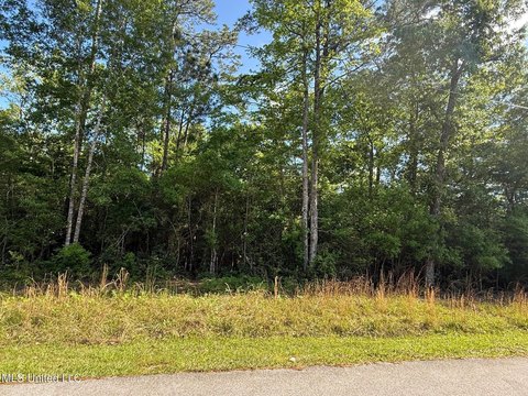 Residential Lot in Diamondhead, MS