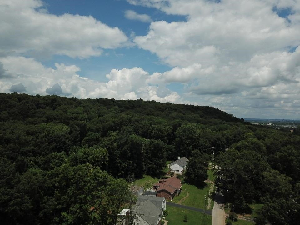 Picture 29
