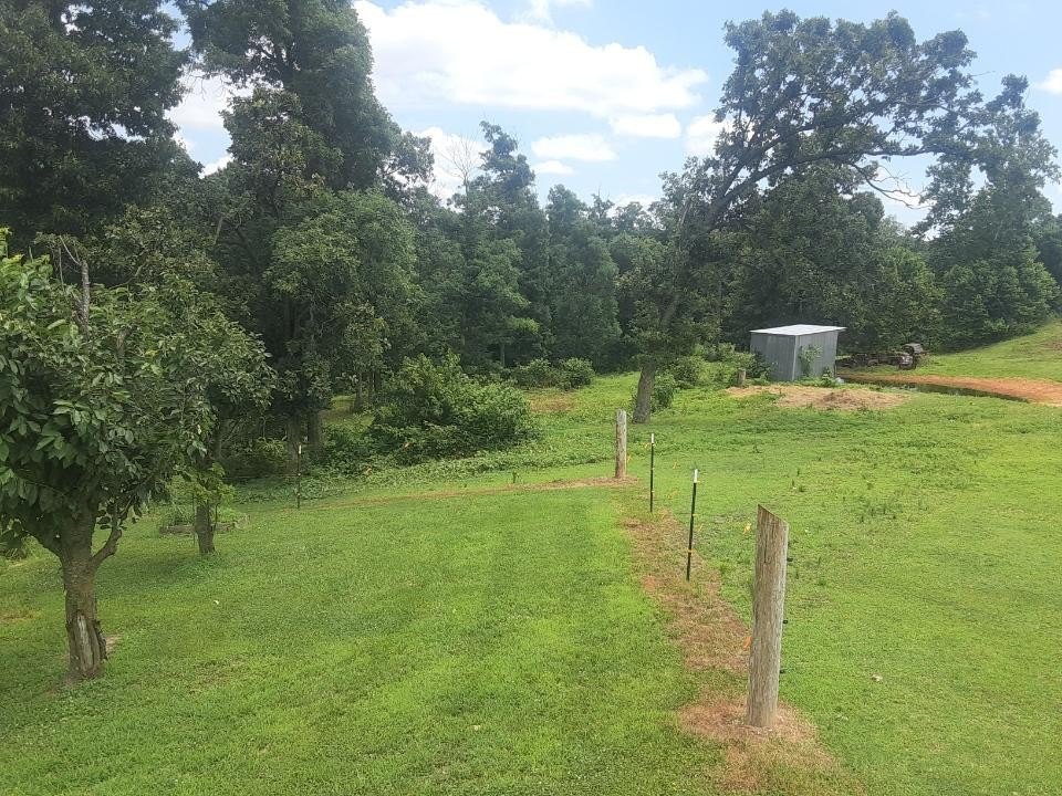 Picture 11