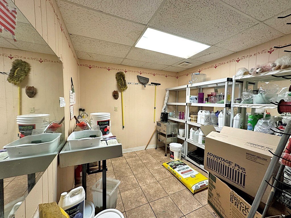 Picture 13