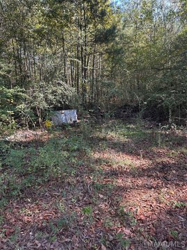 Land, Coosada, AL