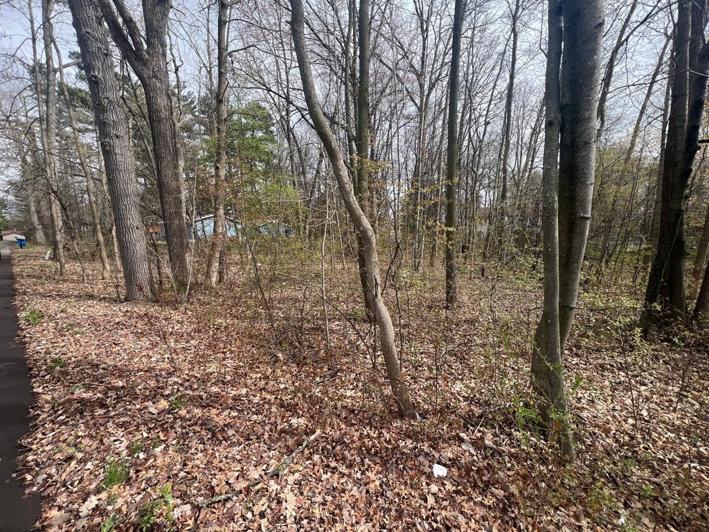 Picture 8