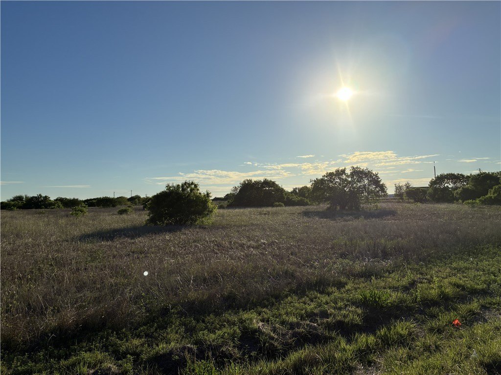 Sinton, TX Raw Land