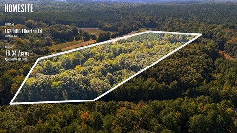 Carlton, GA Land For Sale