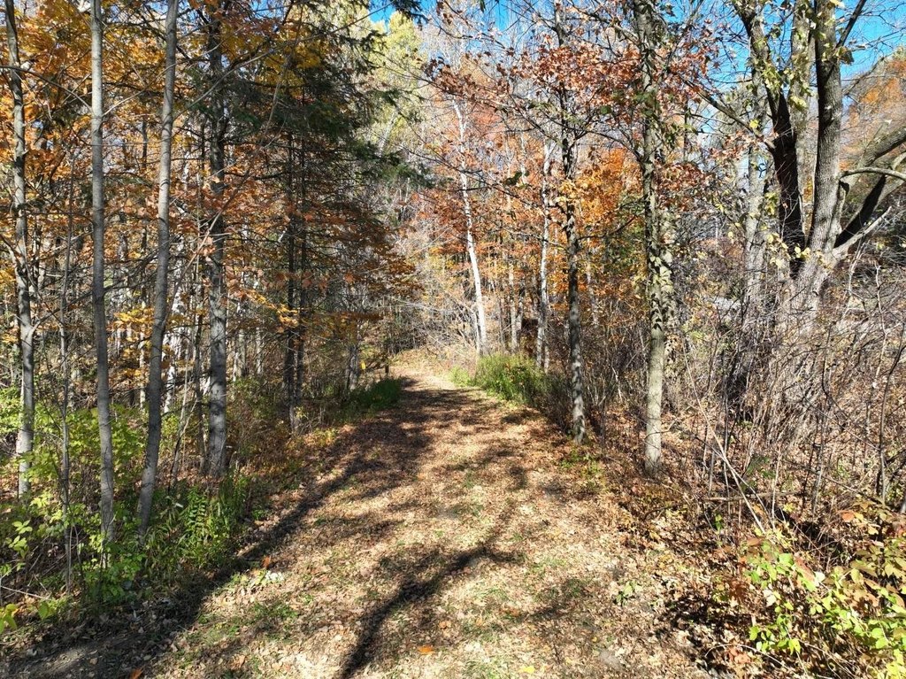 Picture 22
