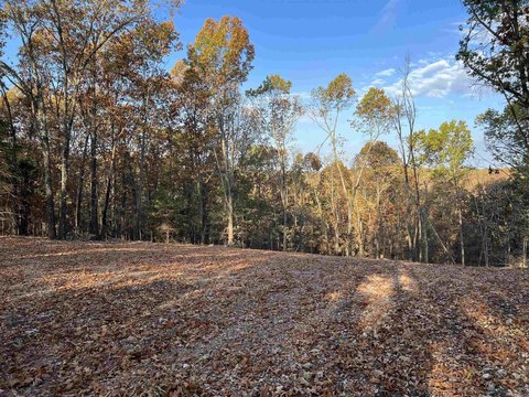 Omaha, AR Land For Sale