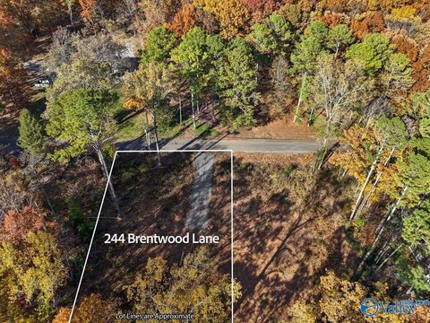 Wooded Lot in Madison, AL