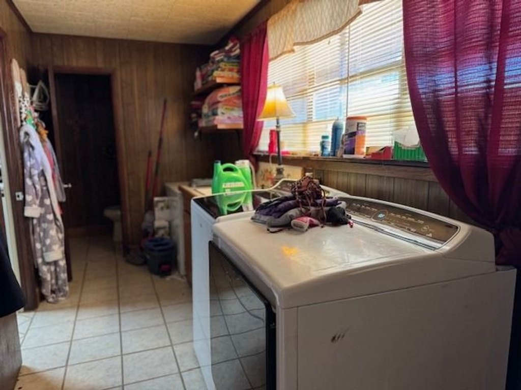 Picture 23