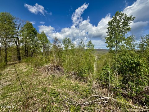 Unicoi, TN Hunting/Recreational Land