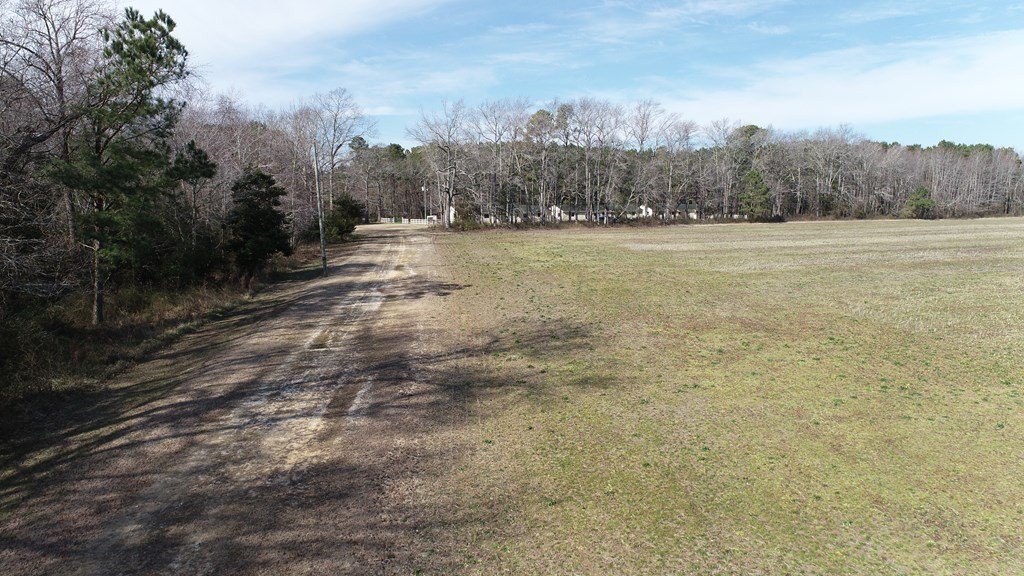 Picture 38