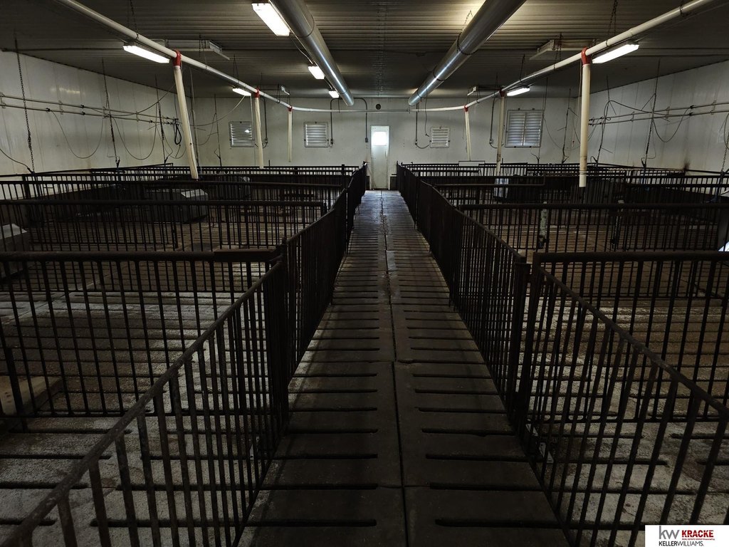 Picture 31