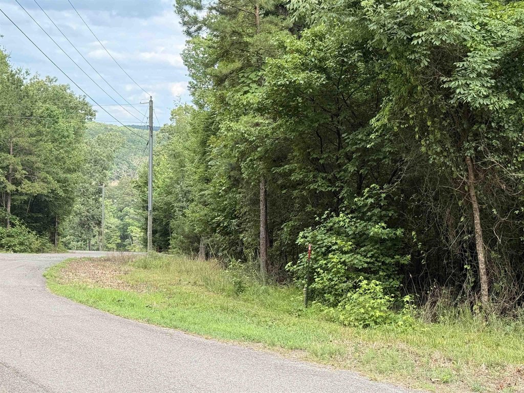 Picture 25
