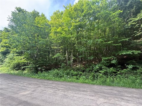 12.8 Acres Wooded Land Parcel
