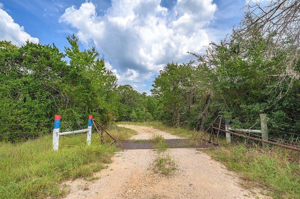 Picture 19
