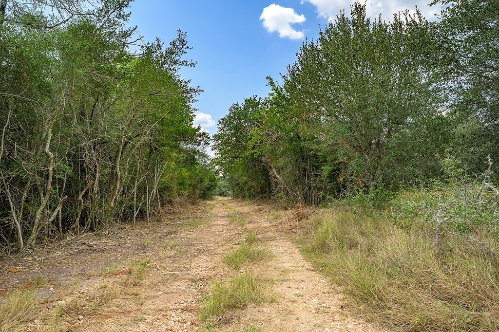 Picture 22