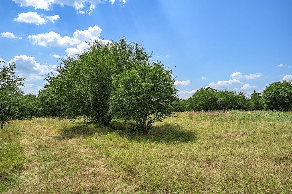 Picture 23
