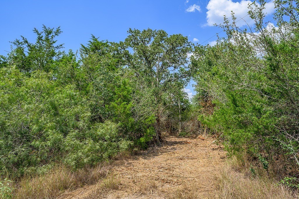Picture 24