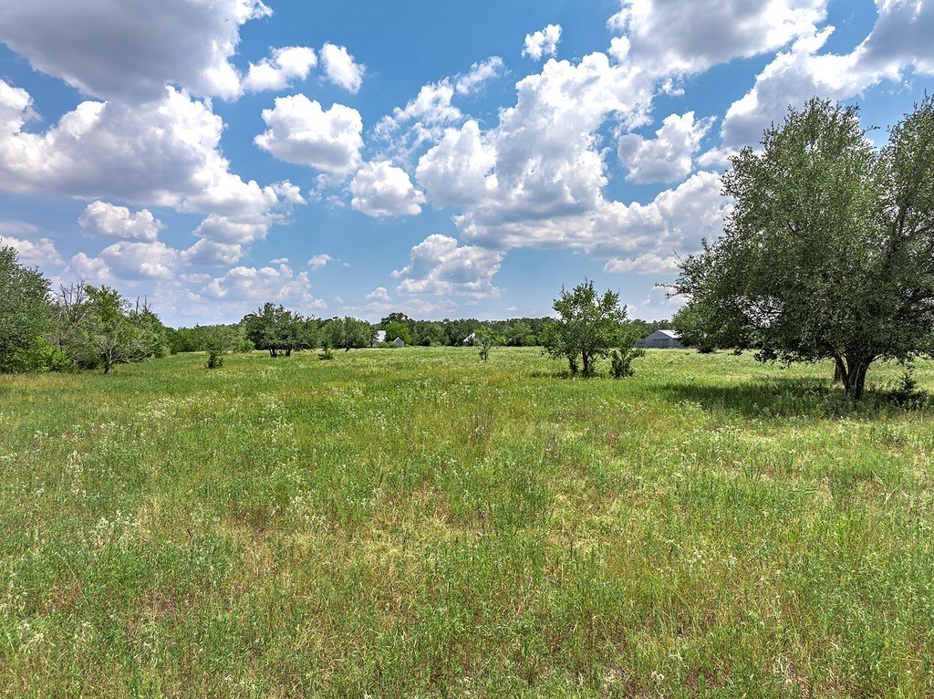 Picture 14