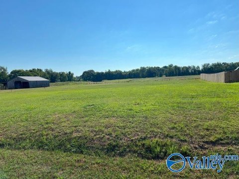 Residential Lot in Elkmont, AL