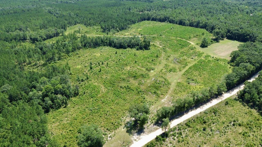 Picture 44