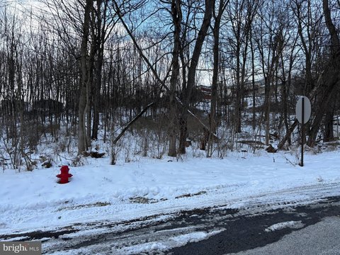 Land in Lavale, Maryland