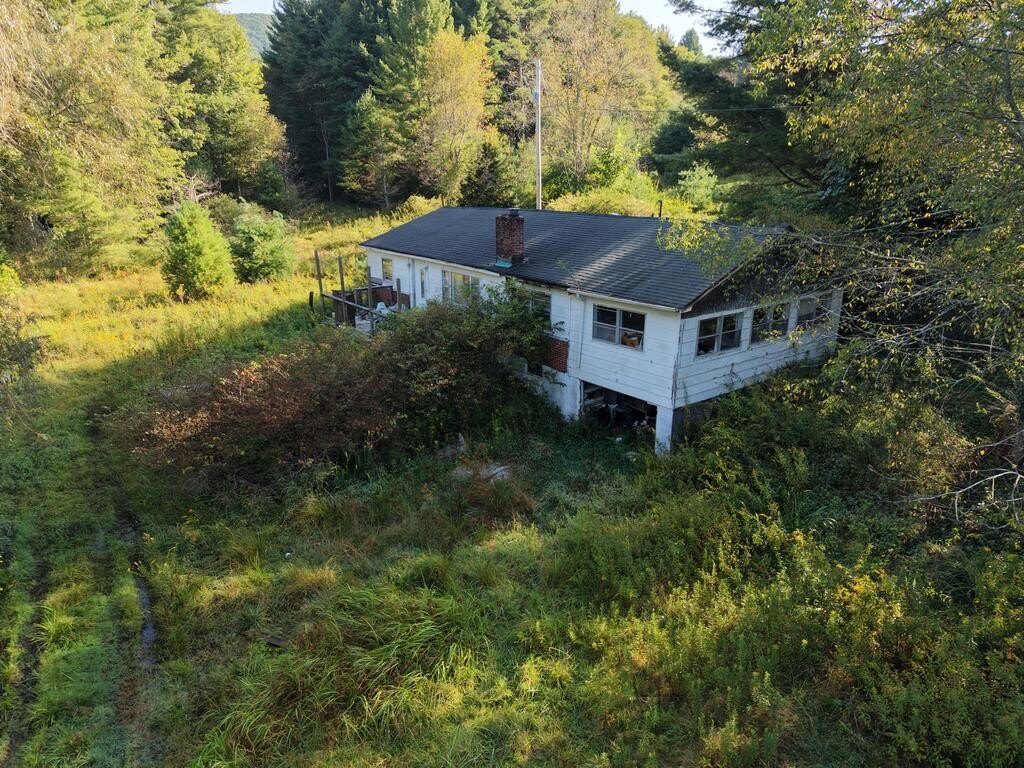 Picture 3