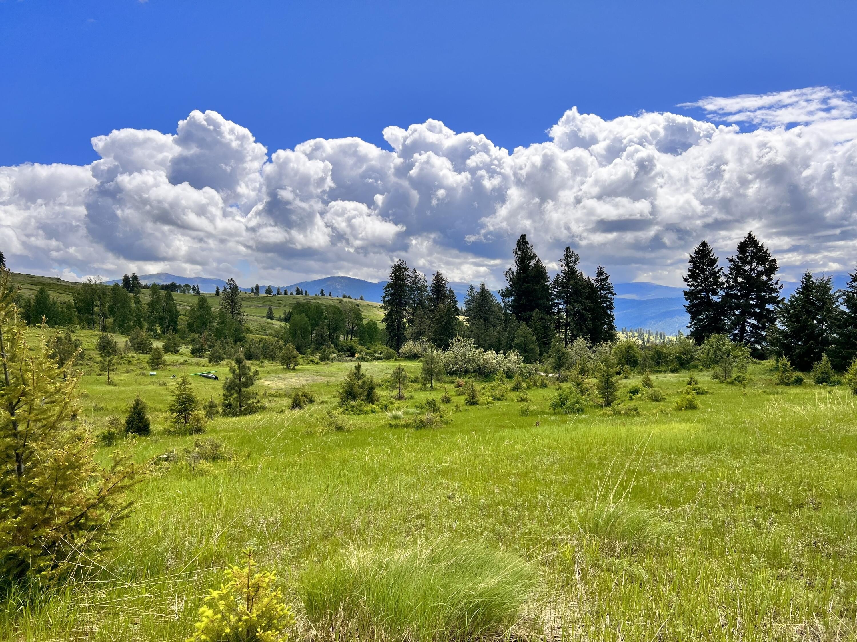 Curlew Acreage with Mountain Views