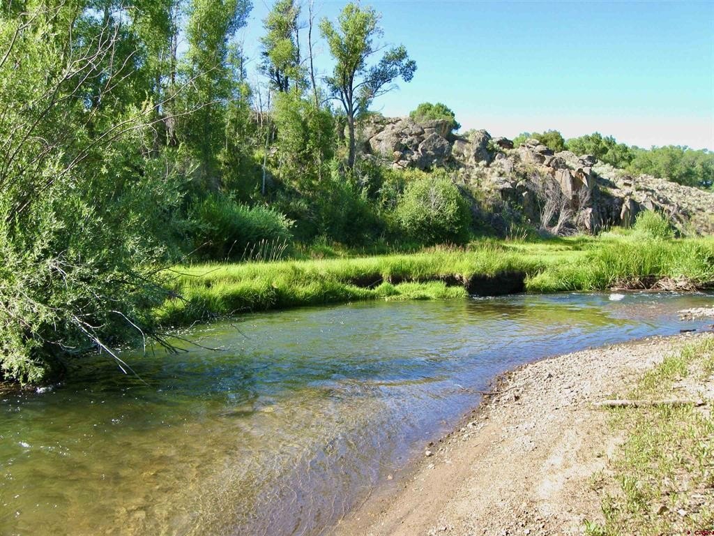 Picture 24