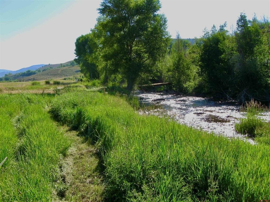 Picture 26