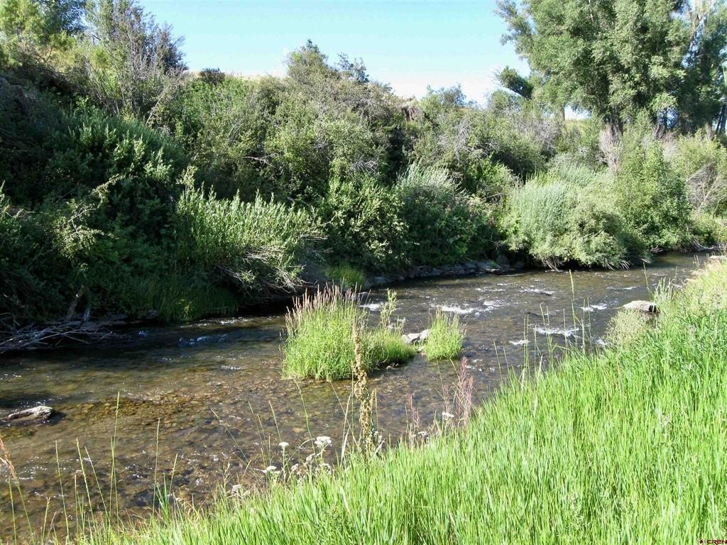 Picture 23