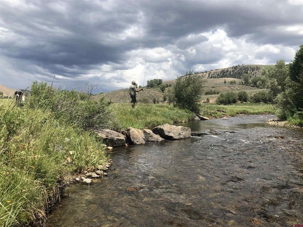 Picture 21