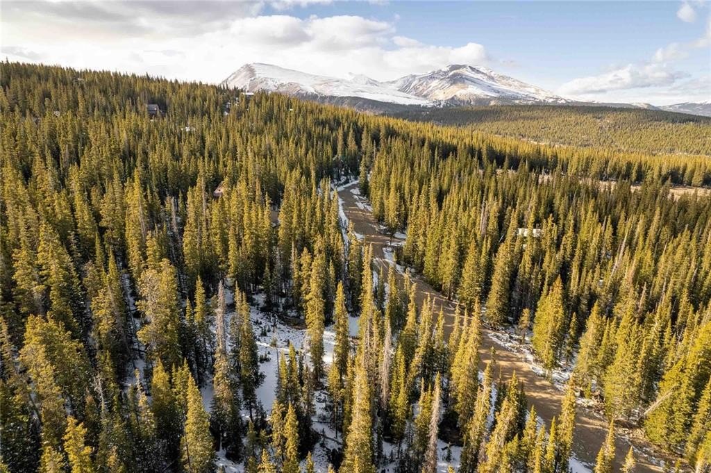 Stunning Wooded Homesite in Fairplay