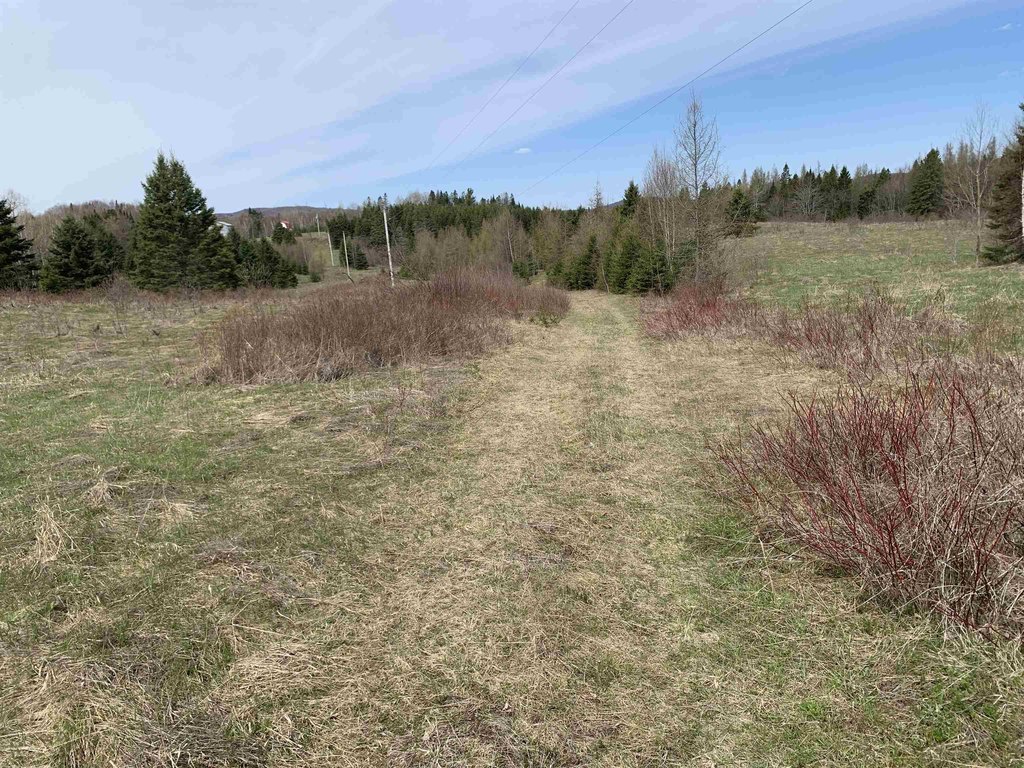 Picture 4