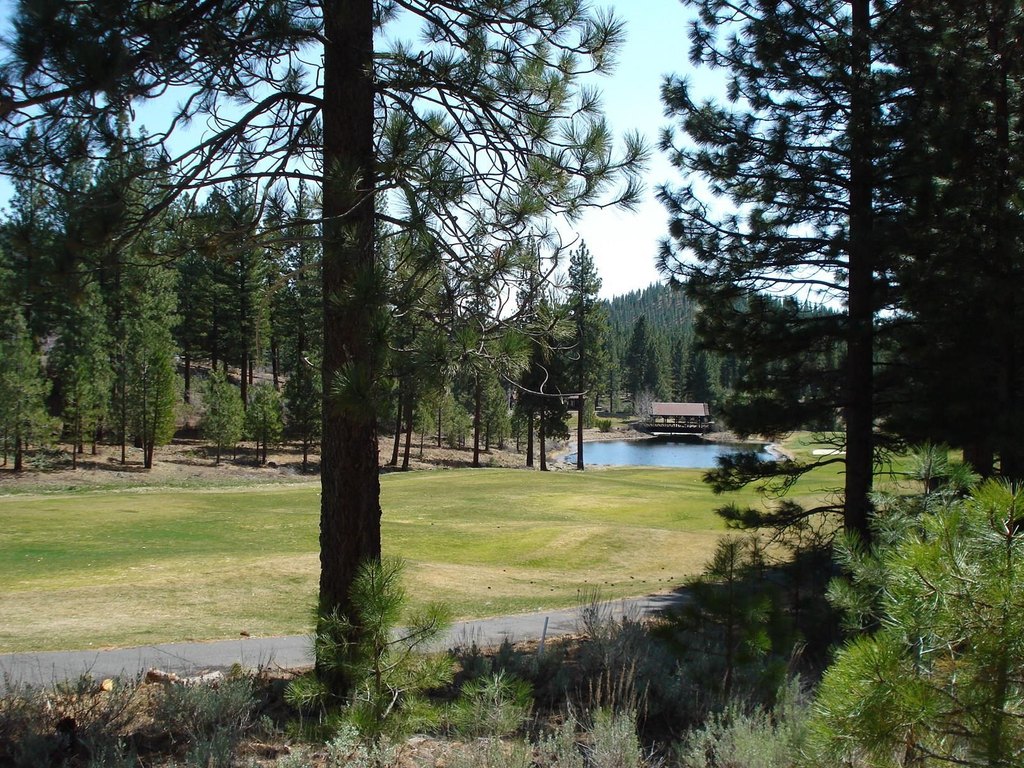 Picture 7