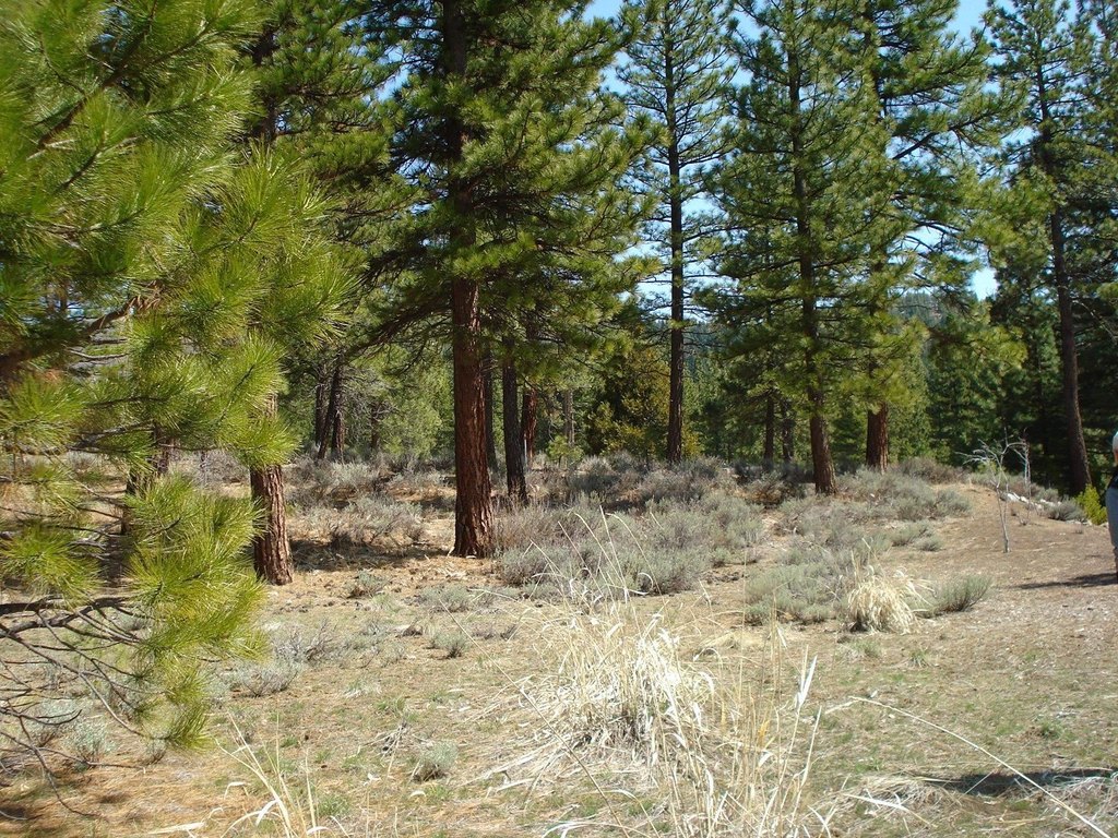 Picture 4