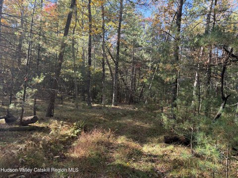 Land, Hurley, NY