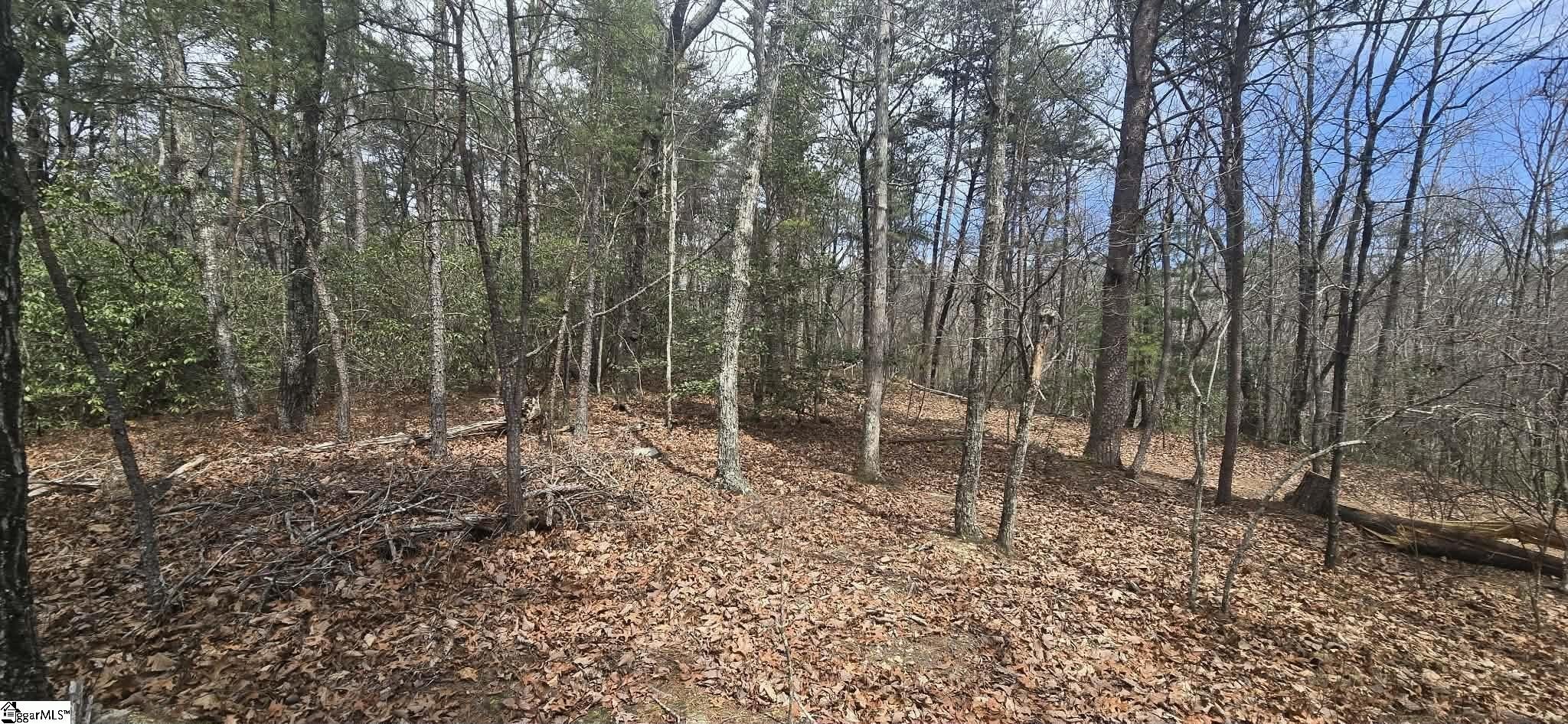 Scenic Mountain Land on SC-11