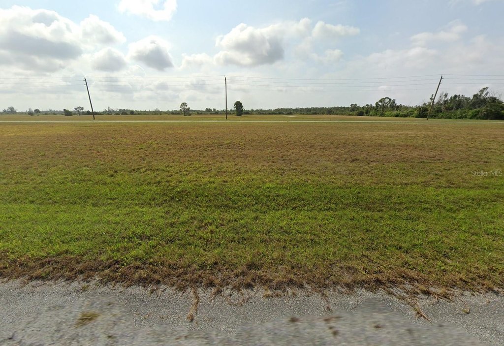 Picture 11