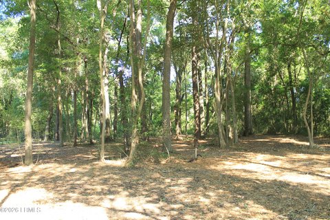 Residential Land Near Downtown Beaufort