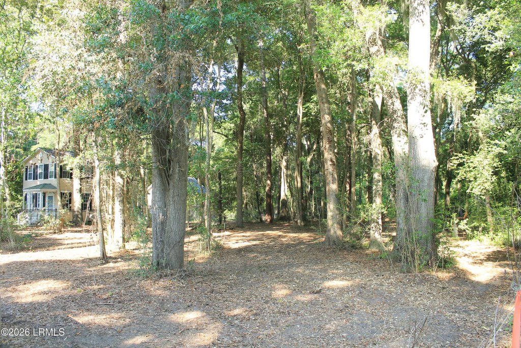 Picture 2