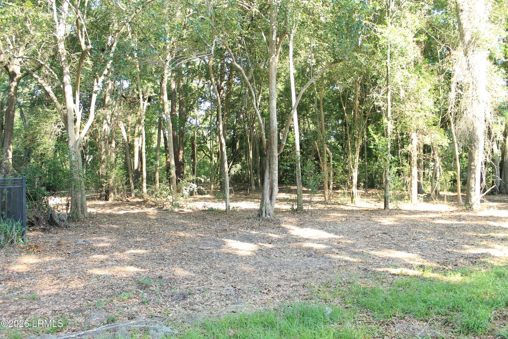 Picture 6