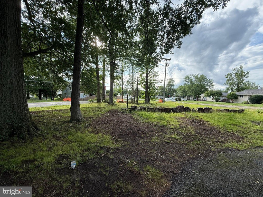 Picture 3