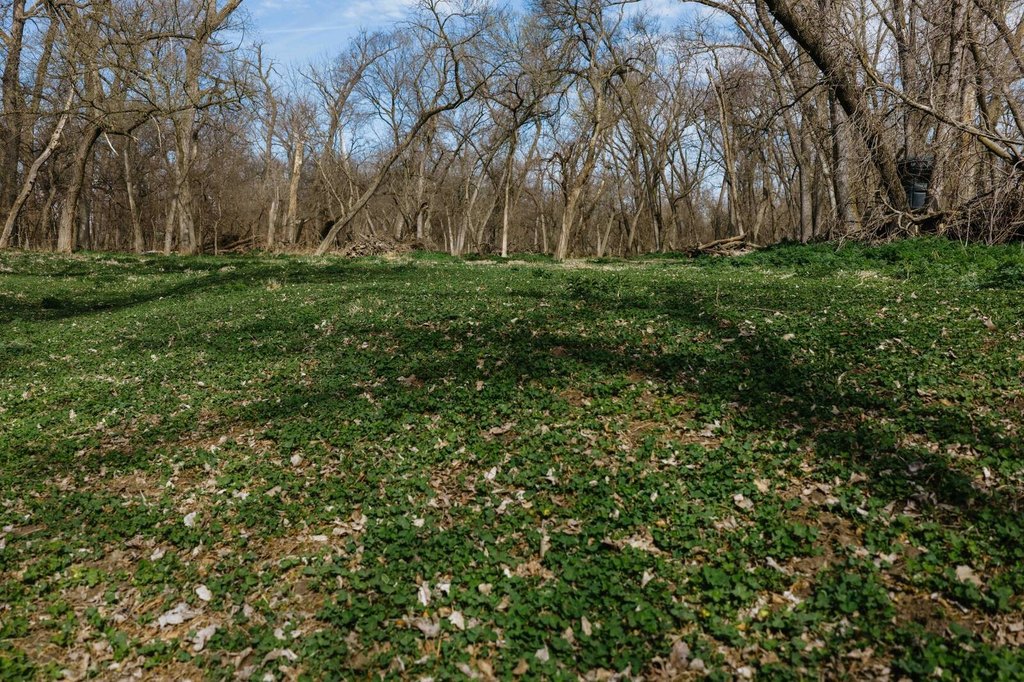 Picture 43