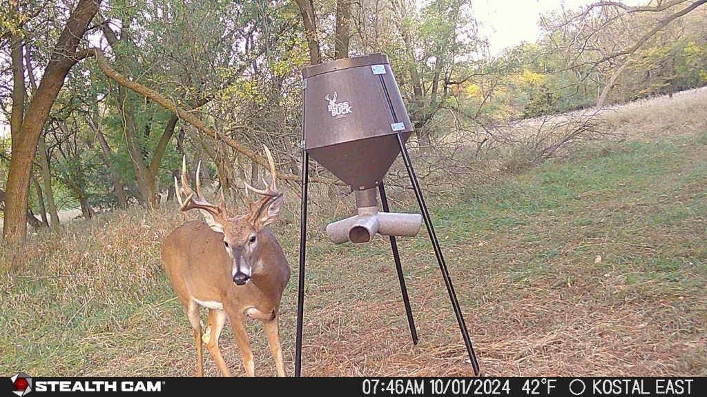 Picture 44