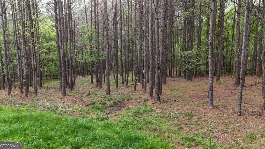 Picture 10