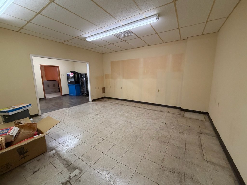 Picture 12