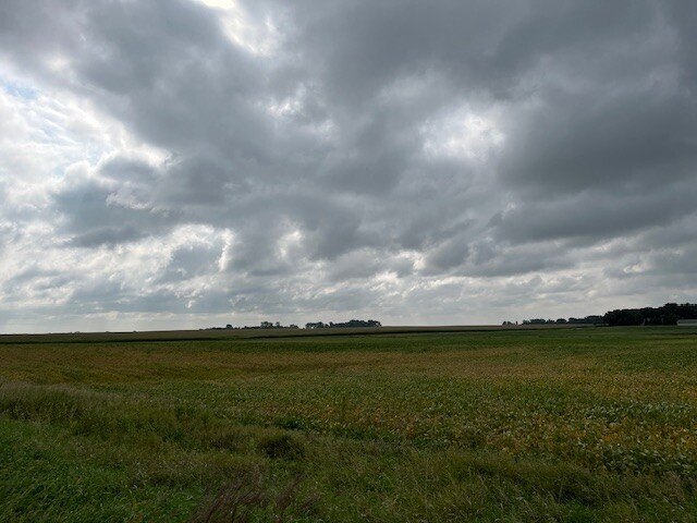 Picture 41