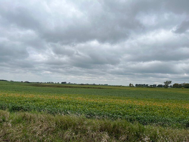 Picture 50