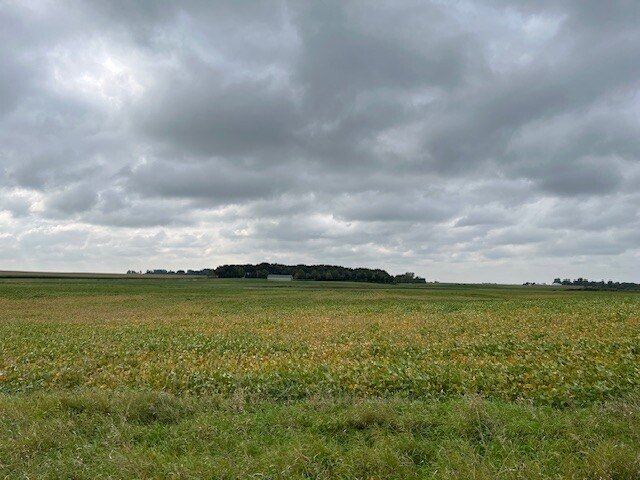 Picture 39