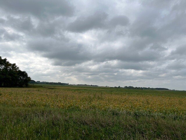 Picture 32